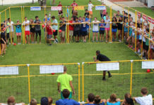 Dodgeball2You® Leagues