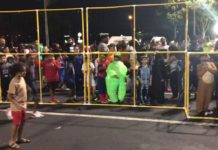 Dodgeball2You® Action