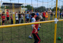 Opening Day Sports Events